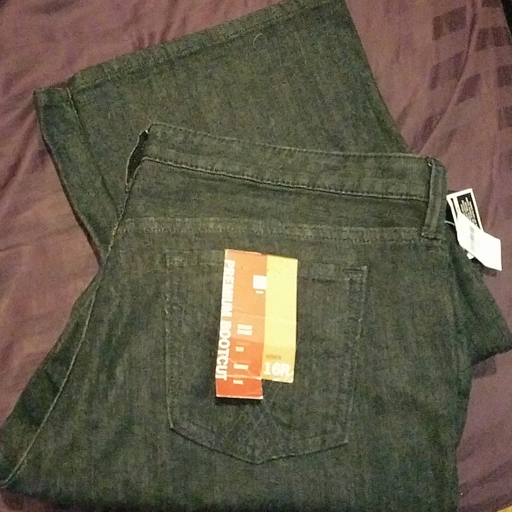 NWT Gap Premium bootcut low waist 16R
